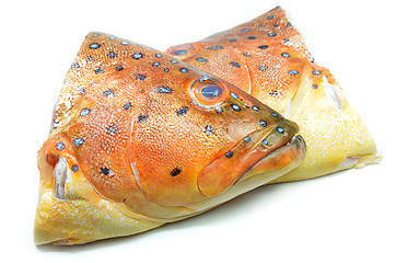 Image showing Grouper fish head on white background