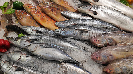 Image showing Fresh fish at a fish market