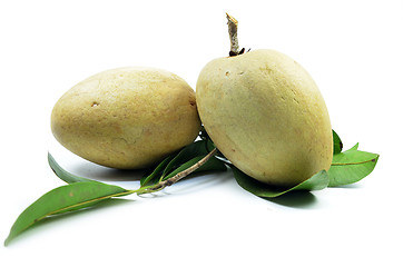 Image showing Fresh sapodilla tropical fruit