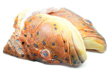 Image showing Grouper fish head on white background