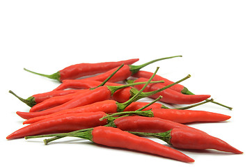 Image showing Red hot chilli pepper isolated 