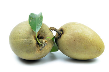 Image showing Fresh sapodilla tropical fruit