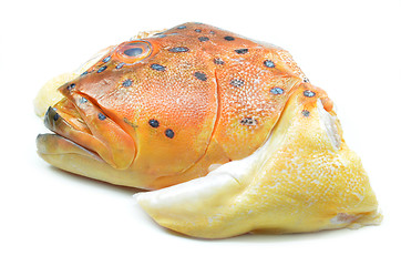 Image showing Grouper fish head on white background