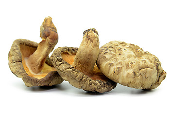 Image showing Dried shiitake mushrooms isolated