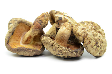 Image showing Dried shiitake mushrooms isolated