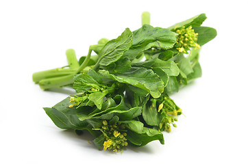 Image showing Bunch of floral choy sum green vegetable