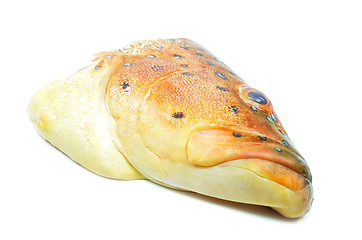 Image showing Grouper fish head on white background