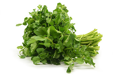 Image showing Freshly picked organic watercress