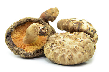 Image showing Dried shiitake mushrooms isolated