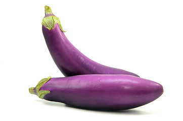 Image showing Eggplant or aubergine isolated