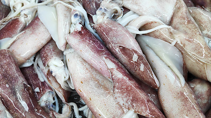 Image showing Squid on ice for sale in market