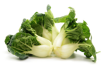 Image showing Milk cabbage bok choy