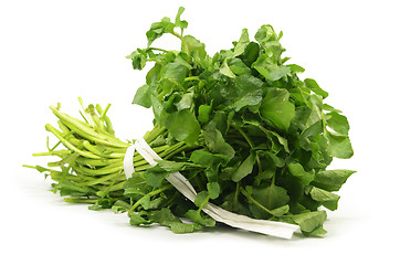 Image showing Freshly picked organic watercress