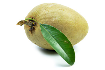 Image showing Fresh sapodilla tropical fruit