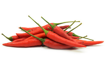 Image showing Red hot chilli pepper isolated