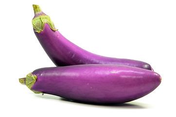 Image showing Eggplant or aubergine isolated