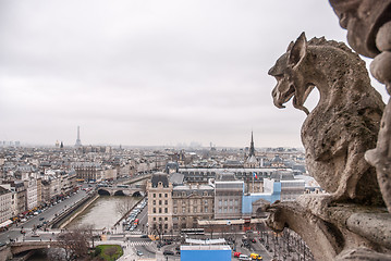 Image showing Paris aerial view with Chimera of Notre Dame