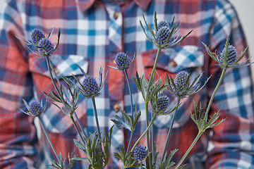 Image showing girl holding blue flowers eryngium