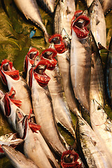 Image showing Freah fish in the store