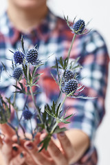 Image showing woman holding blue flowers eryngium