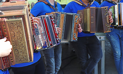 Image showing Group of young accordion players