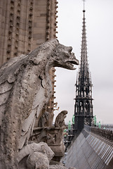 Image showing Chimera of the Cathedral Notre Dame de Paris