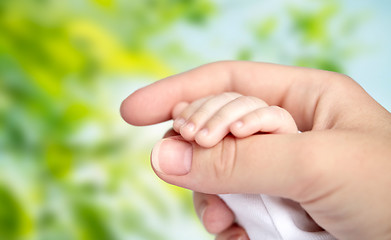 Image showing close up of mother and newborn baby hands