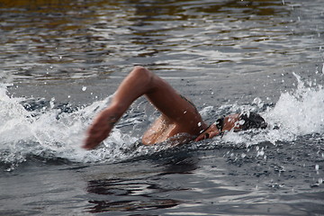Image showing Faros swimming marathon