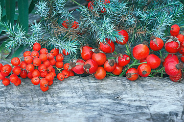 Image showing Red Berries And Juniper On Wooden Background