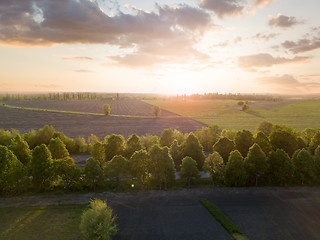 Image showing Aerial view from the drone, a bird\'s eye view of abstract geometric forms of abandoned runway, forests and agricultural fields in the summer evening at sunset.