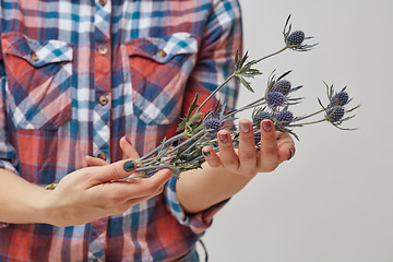 Image showing Hands of a girl holding blue flowers eryngium