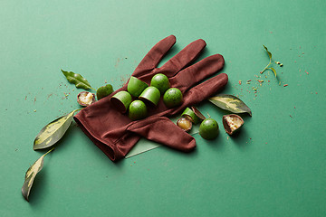 Image showing green chocolate candy with jelly