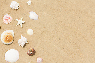 Image showing seashells on beach sand