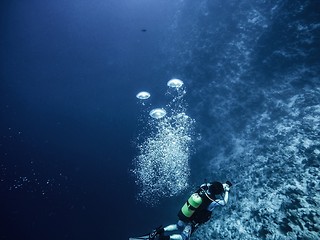 Image showing Scuba diver descending to the bottom