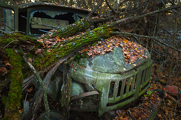 Image showing Fallen tree on abandoned truck left outside