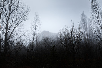 Image showing Dark abandoned house in the forest