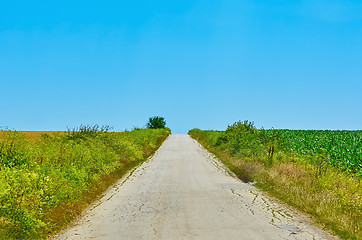 Image showing Road in the Countryside