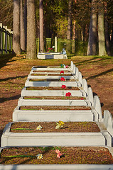 Image showing Graves of Soviet Soldiers