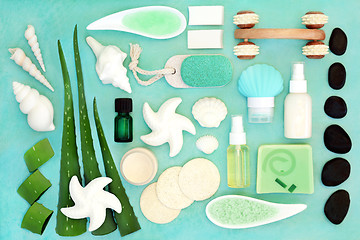 Image showing Aloe Vera Skin Care Beauty Treatment