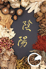 Image showing Yin and Yang Chinese Herbs