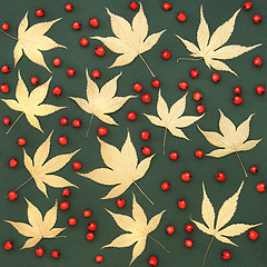 Image showing Acer Leaves and Red Berry Background 