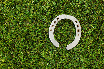 Image showing horseshoe on artificial grass