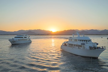 Image showing White yachts on the Red Sea at sunset