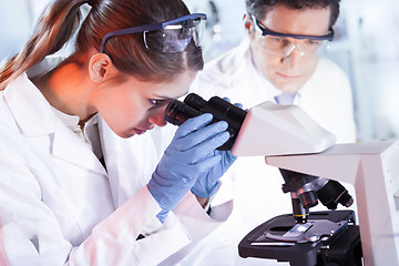 Image showing Young researchers researching in life science laboratory.