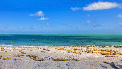 Image showing Rocky Beach in Normandy