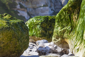 Image showing Rocky Beach - Abstract Detail