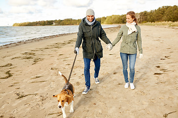 Image showing happy couple with beagle dog on autumn beach