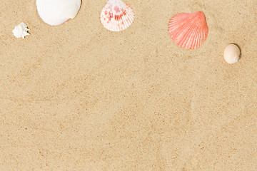 Image showing seashells on beach sand