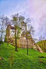 Image showing Bran Castle (Dracula's Castle)