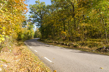 Image showing Winding country road in  fall season colors